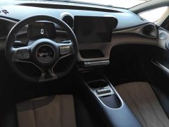 BYD Dolphin Glory Edition 420km Freedom Version - ფოტო 12