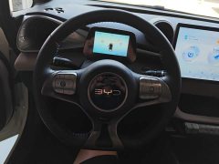 BYD Dolphin Glory Edition 420km Freedom Version - ფოტო 15