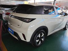 BYD Dolphin Glory Edition 420km Freedom Version - ფოტო 3