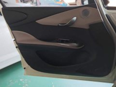 BYD Dolphin Glory Edition 420km Freedom Version - ფოტო 7