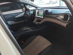 BYD Dolphin Glory Edition 420km Freedom Version - ფოტო 8