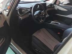 BYD Dolphin Glory Edition 420km Freedom Version - ფოტო 9