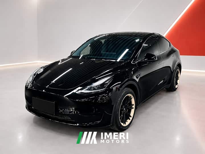 Tesla Model Y Rear-Wheel Drive - автомобиль из Китая
