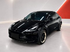 Tesla Model Y Rear-Wheel Drive - фото 1