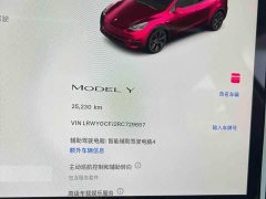Tesla Model Y Rear-Wheel Drive - фото 10