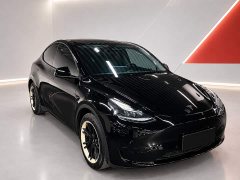 Tesla Model Y Rear-Wheel Drive - фото 3