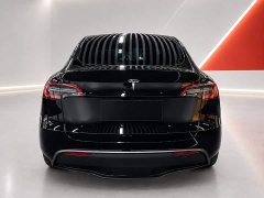 Tesla Model Y Rear-Wheel Drive - фото 5
