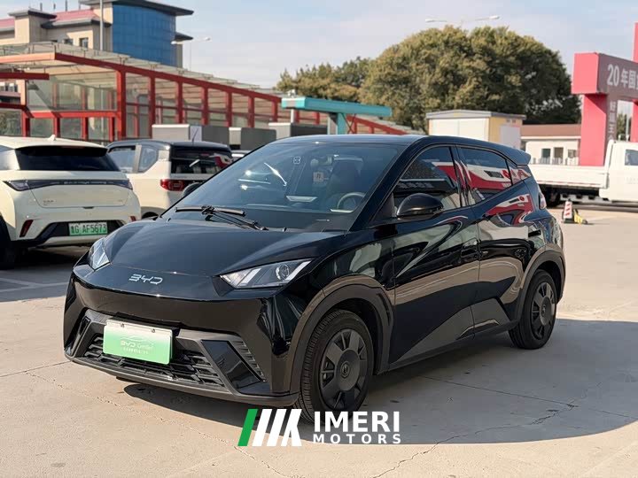 BYD Seagull Glory Edition 305km Vitality Version - ავტომობილი ჩინეთიდან