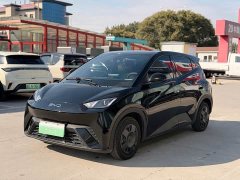BYD Seagull Glory Edition 305km Vitality Version - ფოტო 1