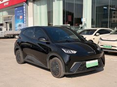 BYD Seagull Glory Edition 305km Vitality Version - ფოტო 3