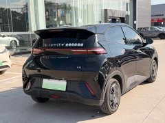 BYD Seagull Glory Edition 305km Vitality Version - ფოტო 4