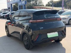BYD Seagull Glory Edition 305km Vitality Version - ფოტო 6