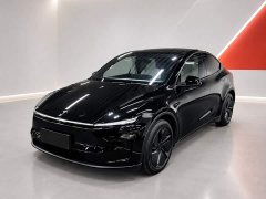 Tesla Model Y Rear-Wheel Drive - ფოტო 1