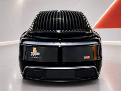 Tesla Model Y Rear-Wheel Drive - ფოტო 5