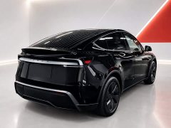 Tesla Model Y Rear-Wheel Drive - ფოტო 6