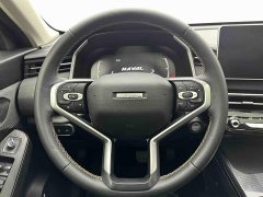 Haval Chitu Jingxiang Edition 1.5T Purple Copper Rabbit - photo 19