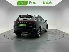 Haval Chitu Jingxiang Edition 1.5T Purple Copper Rabbit - photo 6