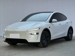 Tesla Model Y Rear-Wheel Drive - фото 1