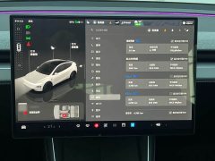 Tesla Model Y Rear-Wheel Drive - фото 10