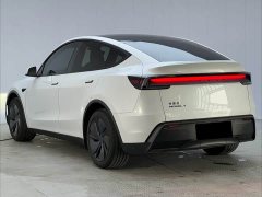 Tesla Model Y Rear-Wheel Drive - фото 15