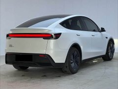 Tesla Model Y Rear-Wheel Drive - фото 16