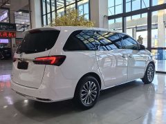 Buick GL8 Land Executive Cabin 652T Luxury - photo 19