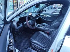 GAC Aion GS8 Dual Engine 2.0T M Two-Wheel Drive Luxury Edition (7-Seater) - фото 5