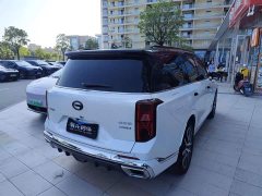 GAC Aion GS8 Dual Engine 2.0T M Two-Wheel Drive Luxury Edition (7-Seater) - фото 9