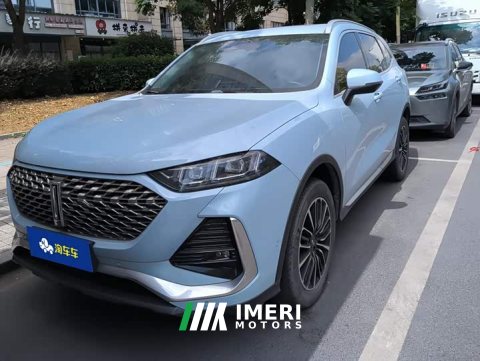 2022 Great Wall DHT 1.5T DHT - ავტომობილი ჩინეთიდან