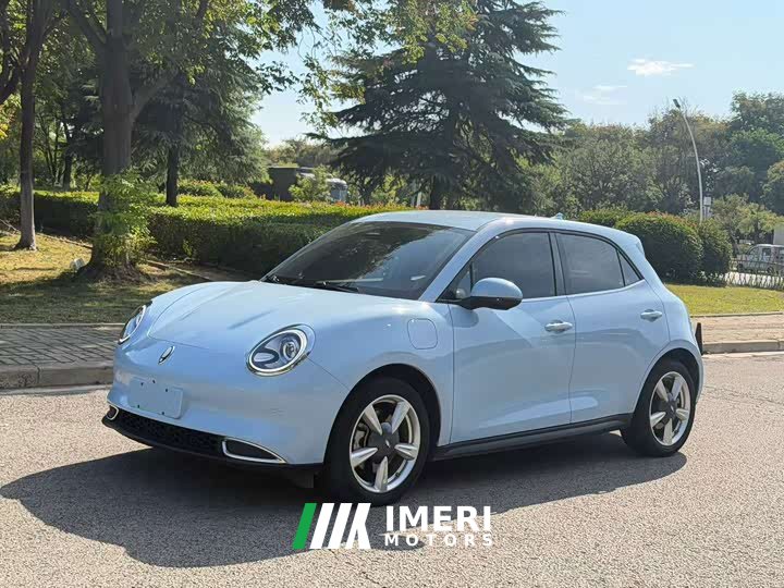ORA Good Cat 401km Standard Range Luxury LFP - ავტომობილი ჩინეთიდან