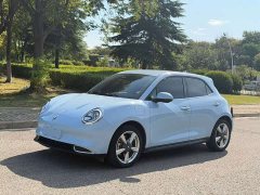 ORA Good Cat 401km Standard Range Luxury LFP - ფოტო 1