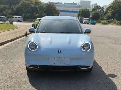 ORA Good Cat 401km Standard Range Luxury LFP - ფოტო 2