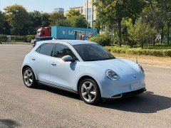 ORA Good Cat 401km Standard Range Luxury LFP - ფოტო 3