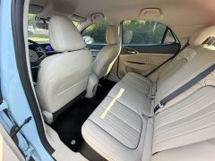 ORA Good Cat 401km Standard Range Luxury LFP - ფოტო 8
