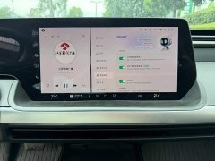 Xpeng Xiaopeng P7 480E - ფოტო 9