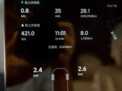 Li Auto L9 Pro - ფოტო 10