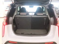 Chery eQ1 Pro 301km Mythical Beast Edition Ternary Lithium - photo 14