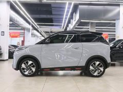Chery eQ1 Pro 301km Mythical Beast Edition Ternary Lithium - photo 3