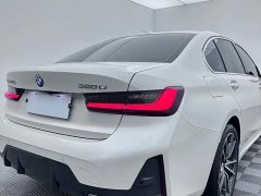 BMW 3 Series 320Li M Sport Package - ფოტო 16