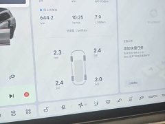 Li Auto L9 Max - ფოტო 6