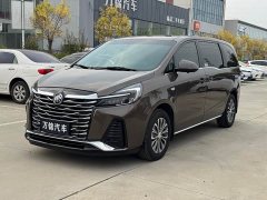 Buick GL8 Land Business Class Comfort Edition - photo 1