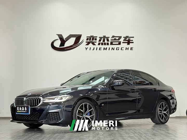 BMW 5 Series (Imported) 530i M Sport Package - car from China