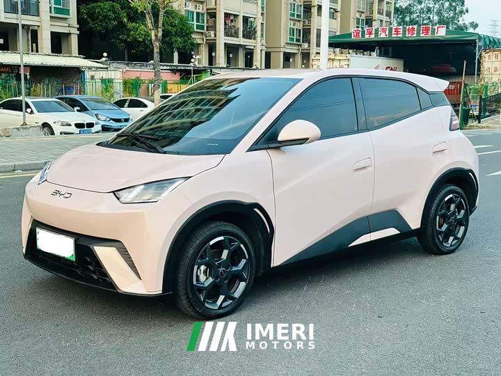 BYD Seagull 305km Freedom Edition