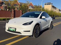 Tesla Model Y Rear-Wheel Drive - ფოტო 1