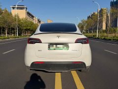 Tesla Model Y Rear-Wheel Drive - ფოტო 3