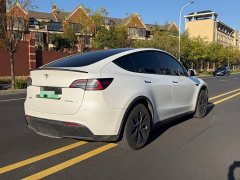 Tesla Model Y Rear-Wheel Drive - ფოტო 4