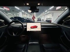 Tesla Model 3 Rear-Wheel Drive - ფოტო 8
