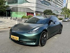 Tesla Model 3 Standard Range RWD Upgrade - фото 1
