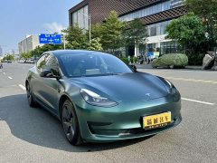 Tesla Model 3 Standard Range RWD Upgrade - фото 3