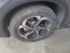BYD Yuan Plus Intelligent Driving Edition 510KM Leading - photo 6